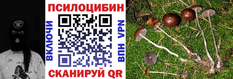 кракен tor  Задонск  Галлюциногенные грибы мицелий 